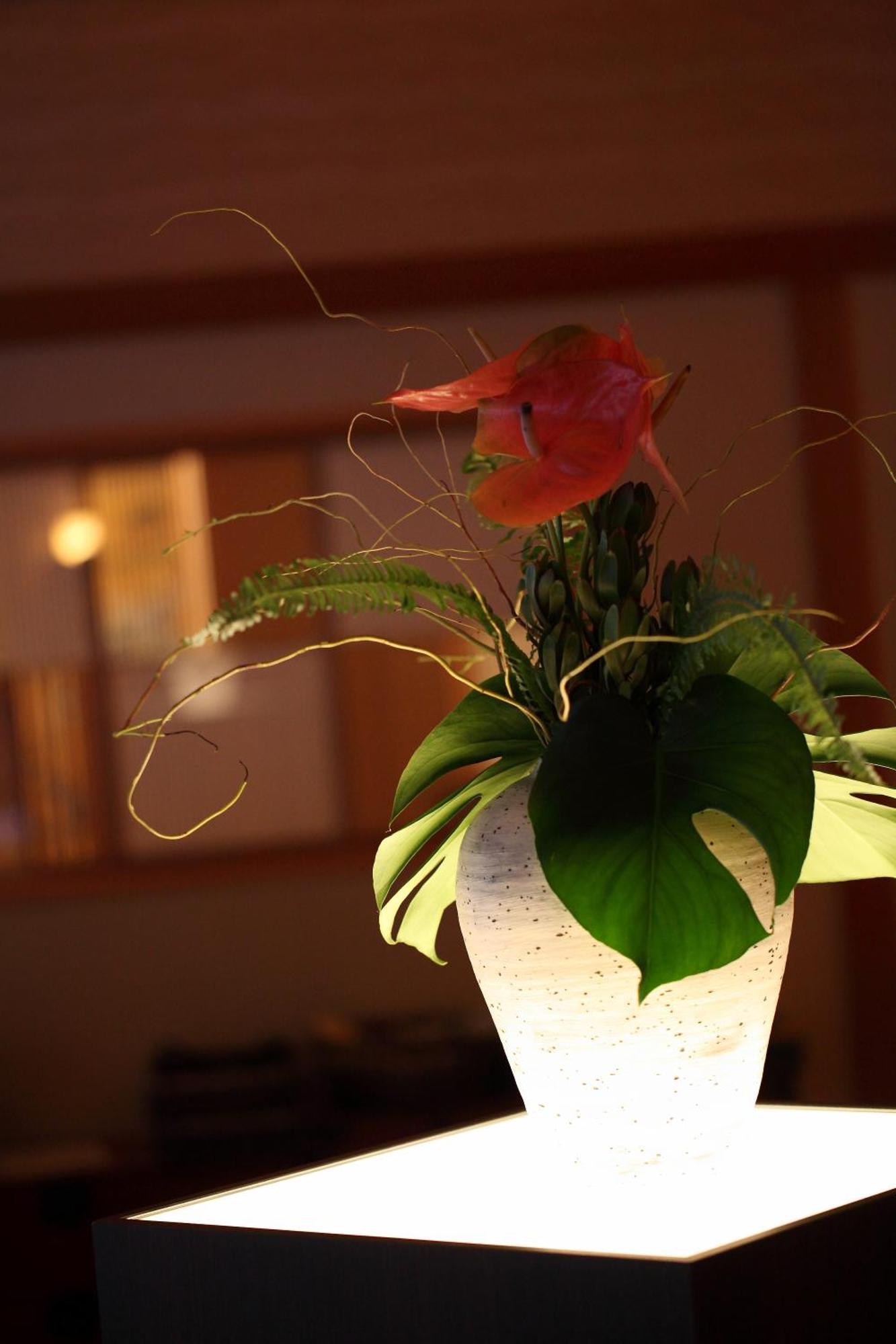 Kyo Yunohana Resort Suisen Kameoka Εξωτερικό φωτογραφία